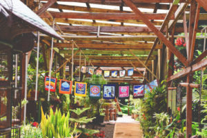 garden shop 